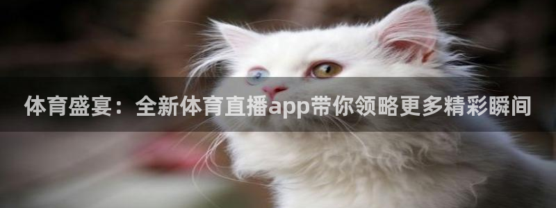 乐球直播nba免费高清直播：体育盛宴：全新体育直播app带你领略更多精彩瞬间