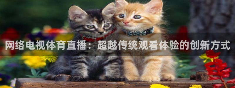 乐球直播nba：网络电视体育直播：超越传统观看体验的创新方式