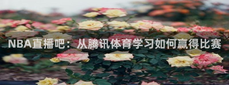 nba乐球直播吧：NBA直播吧：从腾讯体育学习如何赢得比赛
