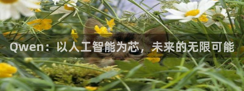 乐球直播苹果下载：Qwen：以人工智能为芯，未来的无限可能