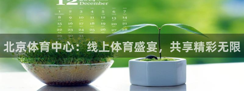 乐球直播体育免费观看：北京体育中心：线上体育盛宴，共享精彩无限