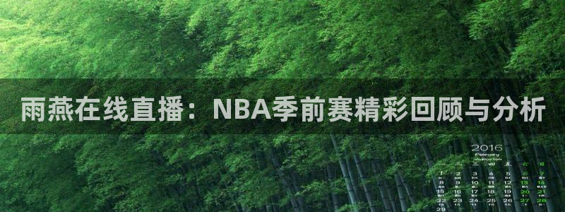 乐球吧体育直播nba直播：雨燕在线直播：NBA季前赛精彩回顾与分析