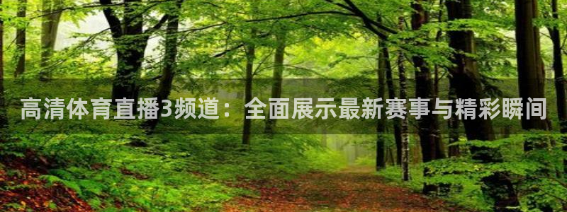 乐球篮球直播免费观看：高清体育直播3频道：全面展示最新赛事与精彩瞬间