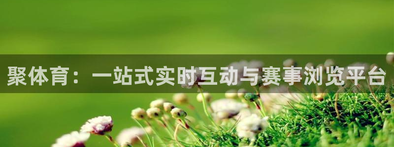 乐球吧nba直播雨燕360：聚体育：一站式实时互动与赛事浏览平台