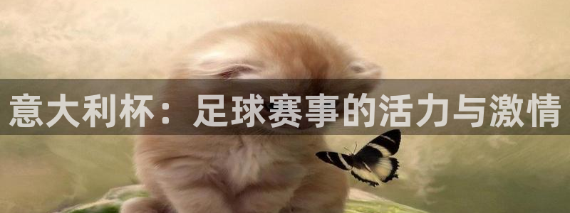 乐球免费体育直播在线看：意大利杯：足球赛事的活力与激情