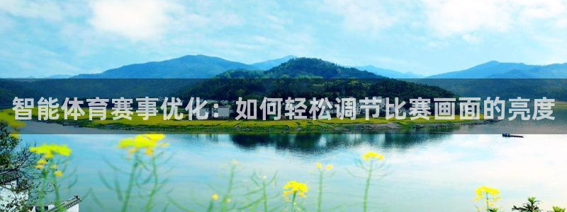 乐球直播nba在线观看免费：智能体育赛事优化：如何轻松调节比赛画面的亮度