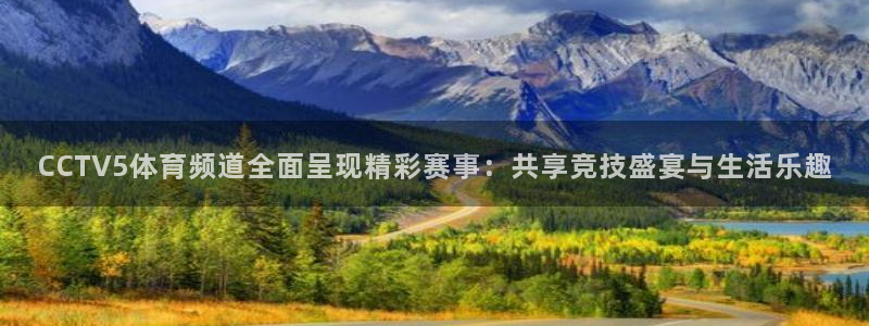 乐球吧足球直播：CCTV5体育频道全面呈现精彩赛事：共享竞技盛宴与生活乐趣