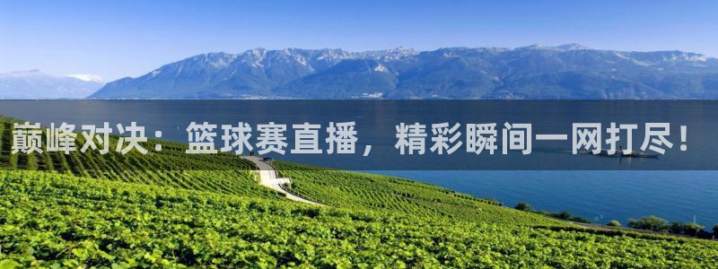 乐球体育直播app下载安装：巅峰对决：篮球赛直播，精彩瞬间一网打尽！
