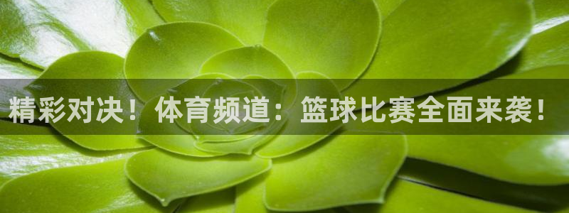 乐球直播app官方入口：精彩对决！体育频道：篮球比赛全面来袭！