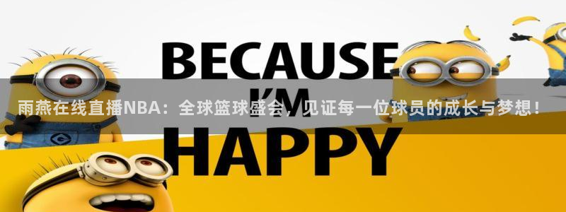 乐球足球比赛在线直播：雨燕在线直播NBA：全球篮球盛会，见证每一位球员的成长与梦想！
