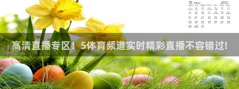 乐球足球直播免费观看：高清直播专区！5体育频道实时精彩直播不容错过!