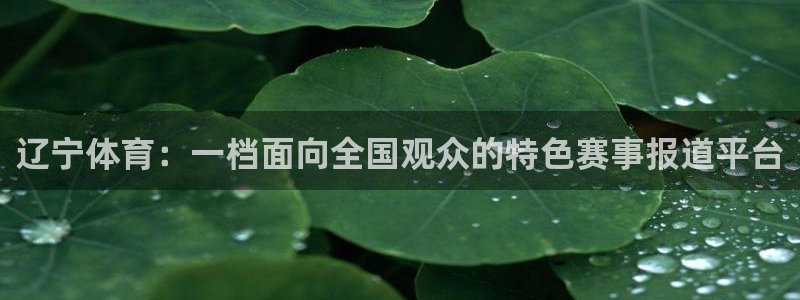 乐球直播足球直播免费观看高清：辽宁体育：一档面向全国观众的特色赛事报道平台